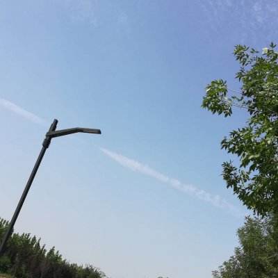 萌宠对决内购破解版下载